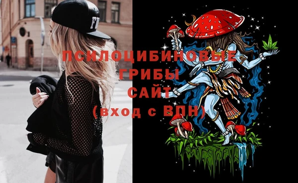 spice Вяземский