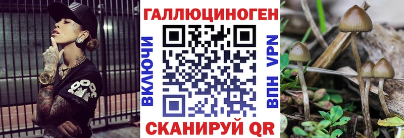 Галлюциногенные грибы MAGIC MUSHROOMS  даркнет сайт  Ноябрьск 