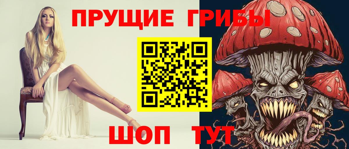 Псилоцибиновые грибы Cubensis Ноябрьск