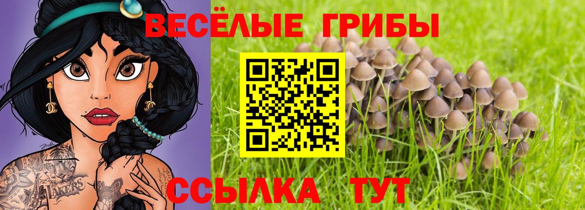 Галлюциногенные грибы MAGIC MUSHROOMS  Вход с VPN  где продают   Ноябрьск 