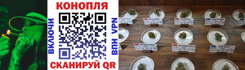 Канабис план  купить  цена  Ноябрьск 